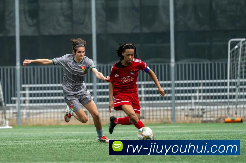 J9九游会官网发展历程